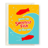 You're The Sweetest Fish